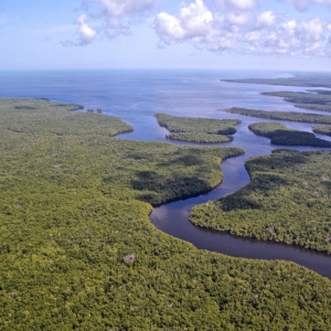 An aerial shot looks over the wetland-ocean interface