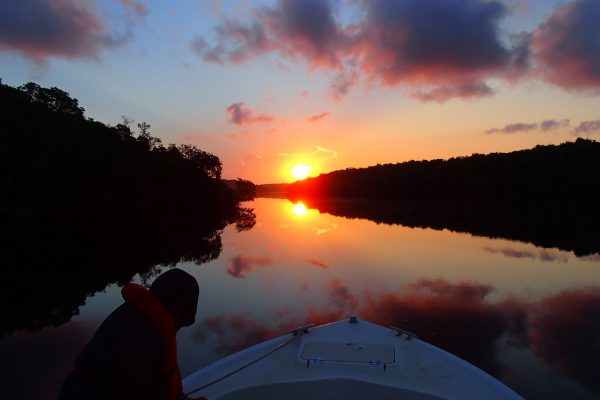 An FCE researcher looks out on a sunset over the Everglades