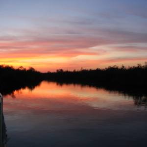 A sunset over the water in the Everglades