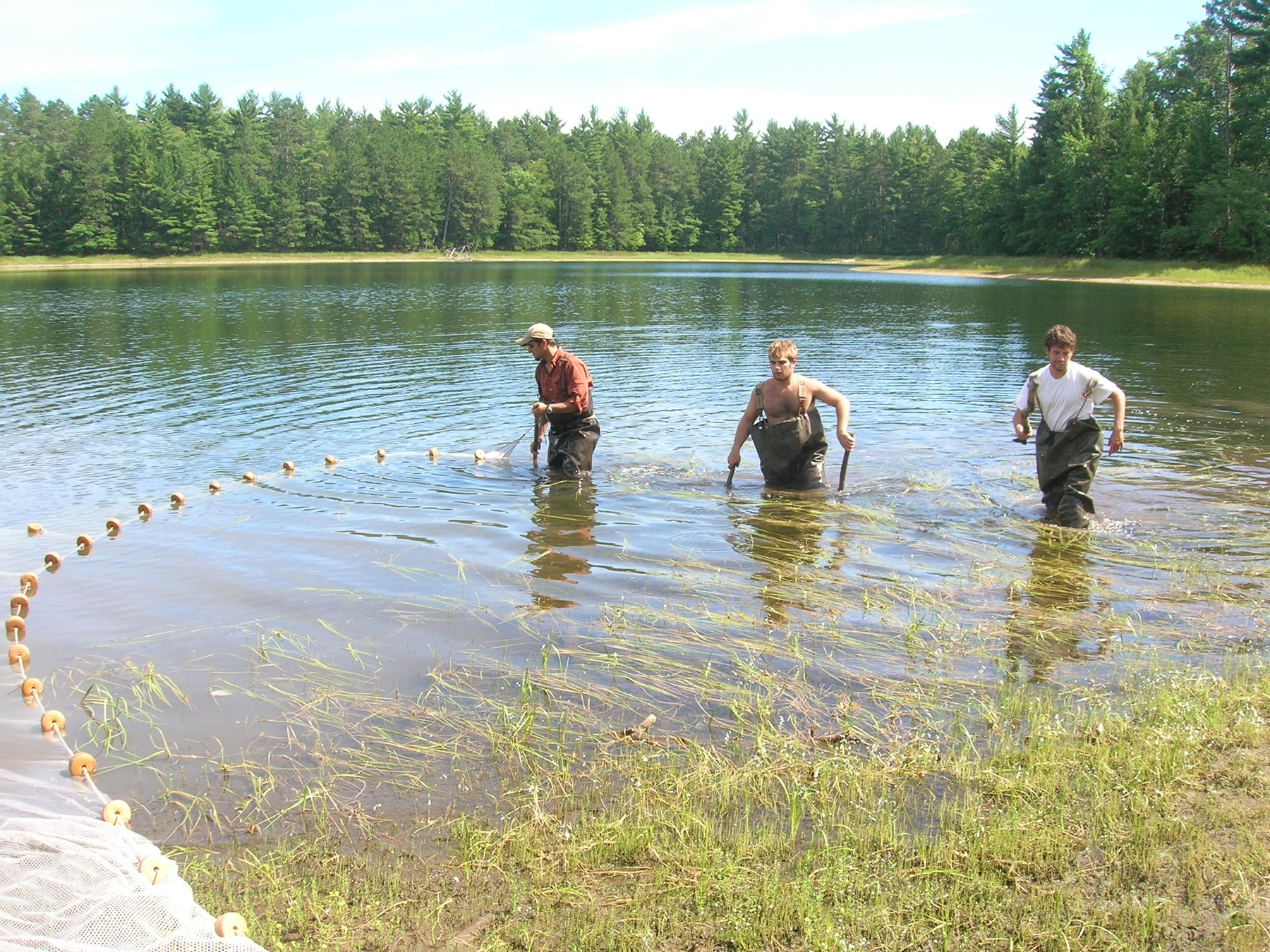 Corinna Lake Teaching Resources