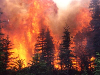 Wildfire in Alaskan black spruce forests.