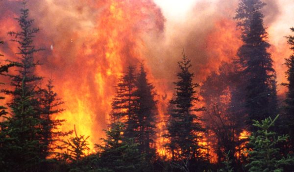 Wildfire in Alaskan black spruce forests.
