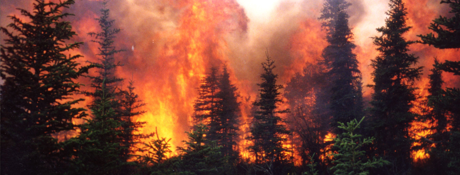 Wildfire in Alaskan black spruce forests.