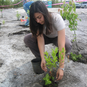 Katerina Potesta assists with planting native species at the CEMEX Florida East Coast Quarry Wetland Reclamation project