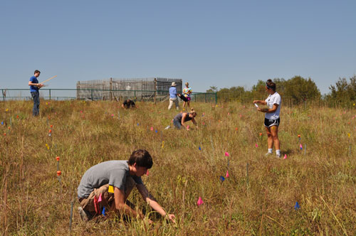 Students collecting data at Doane NutNet site