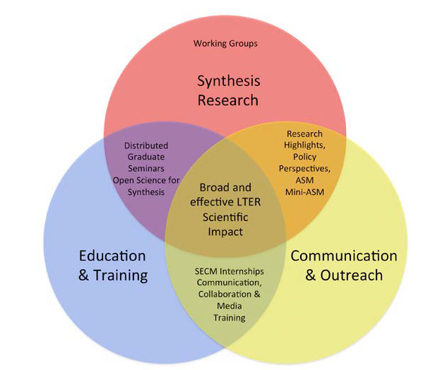 nco venn diagram of synthesis research, communication and outreach, education and training