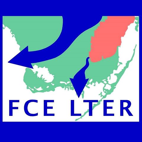 Rethinking Everglades restoration through synthesis science - LTER