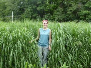 Kathryn standing on the edge of one of the four switchgrass plots. At this point, in July, the switchgrass had grown to around six feet tall, making it was hard to be seen from within. Picture Credit: Kelechi Ukachukwu