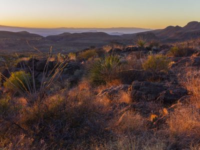 Landscape in the Chihuahuan desert