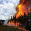 Fire and ice: Carbon cycling feedbacks to climate in a warming Arctic
