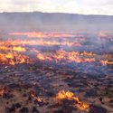 Soil Type Strongly Influences Likelihood of Fire in Desert Grasslands