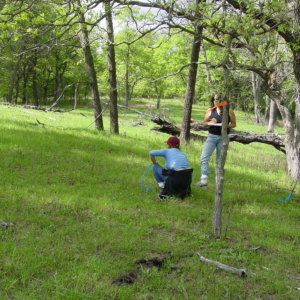 Surveying regrown vegetation after an experimental burn.