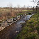 Test of Ecological Theory Informs Stream Restoration Choices