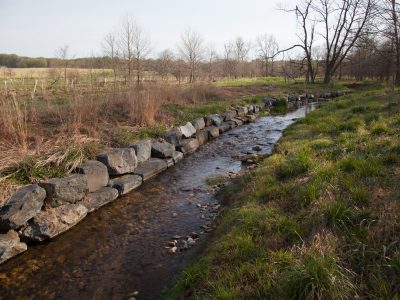 Stream running through a field with young trees planted alongside
