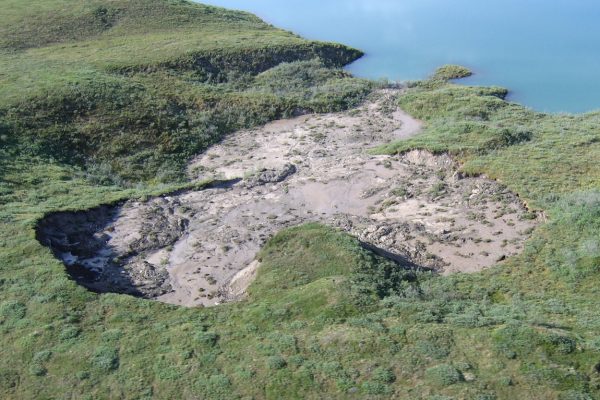 vegetated landscape with exposed soil in a slump