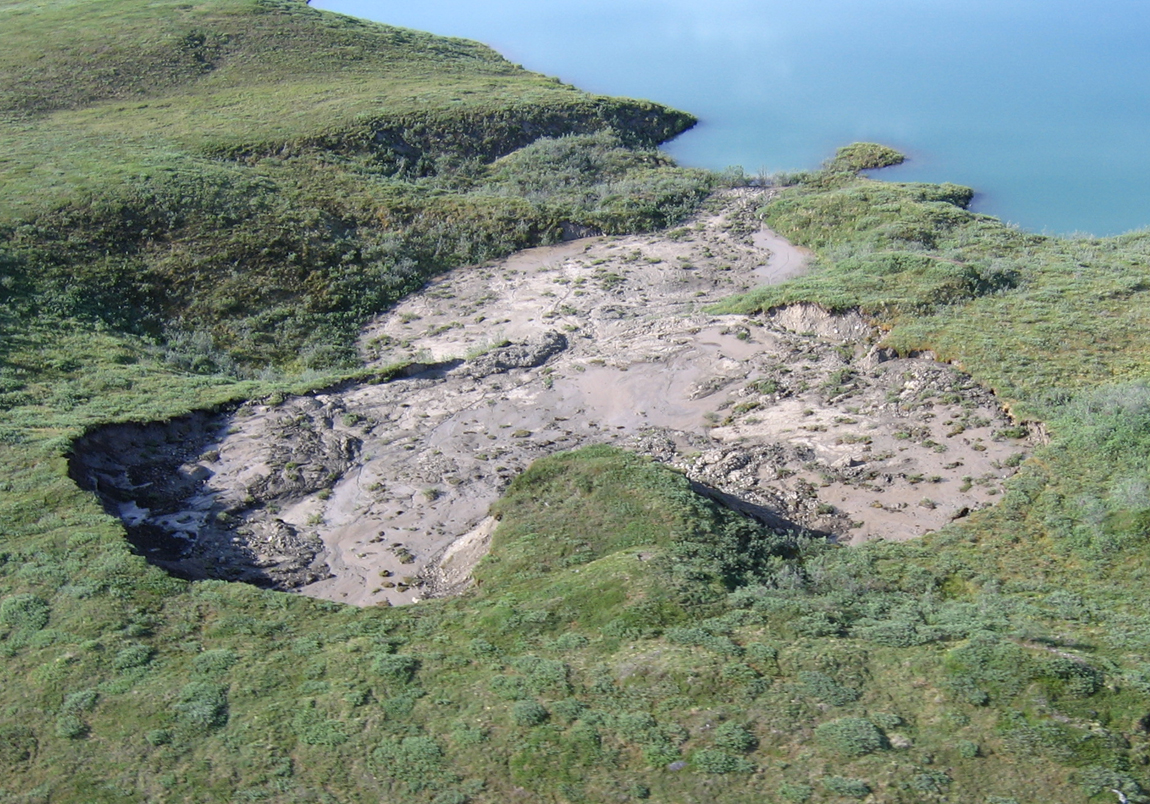 vegetated landscape with exposed soil in a slump