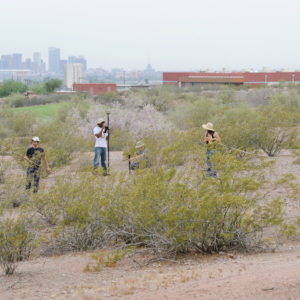Three individuals collecting samples in desert brush.