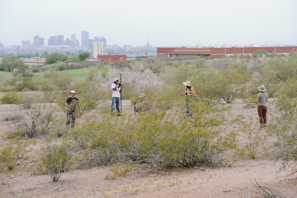 Three individuals collecting samples in desert brush.
