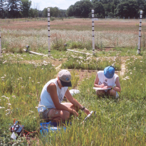 two students sampling grasses