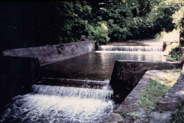 water flows over a river weir in the forest