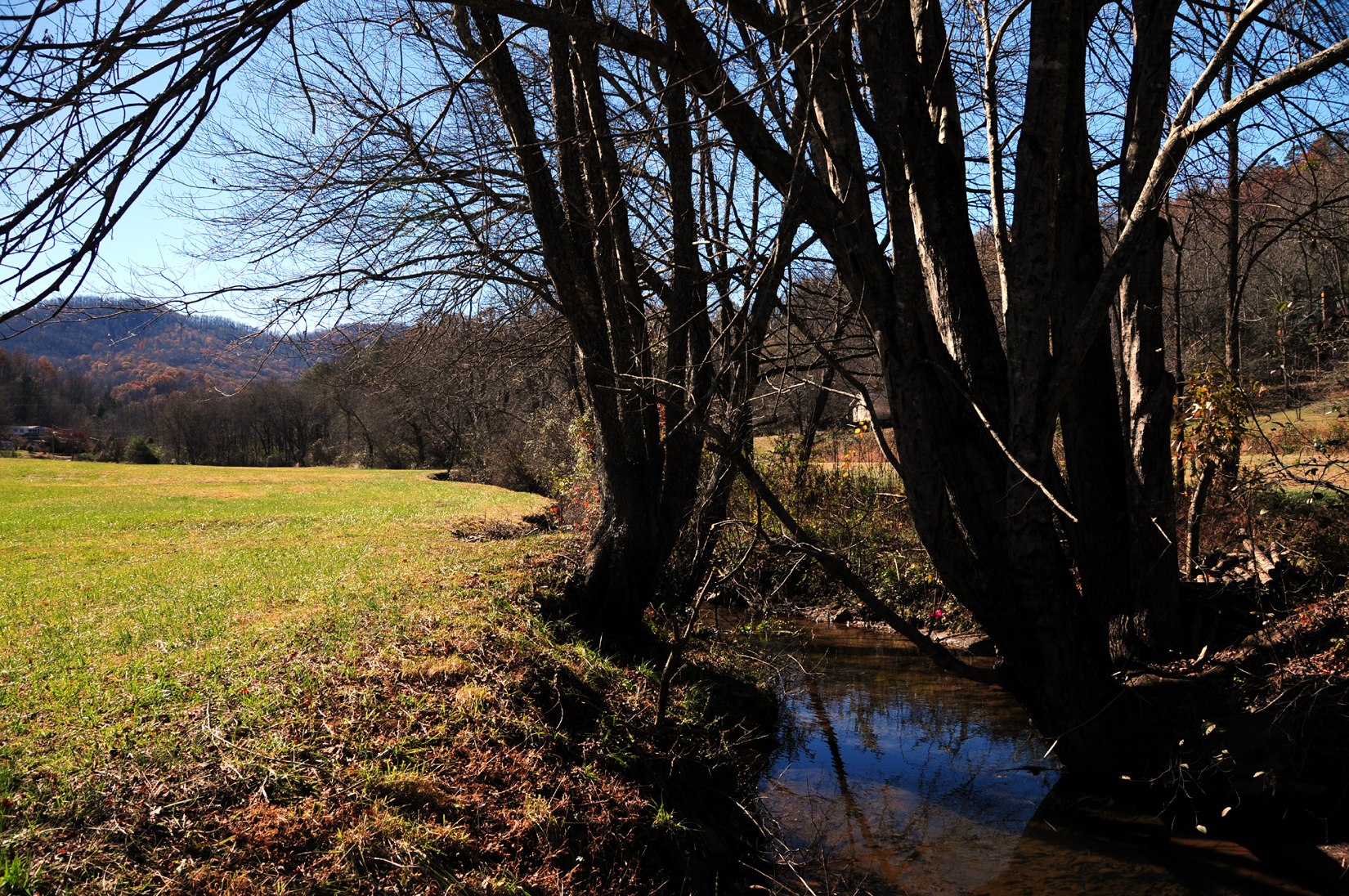 a small stream runs adjacent to open fields in the Appalachian foothills