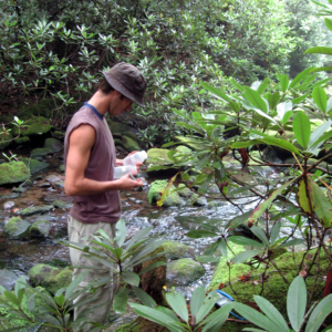 A CWT researcher wades in a stream to take water samples
