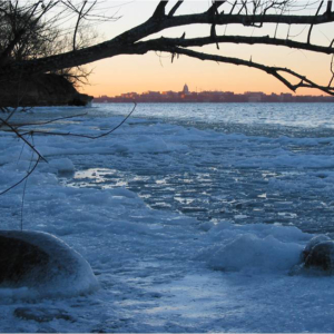 Ice along lakeshore
