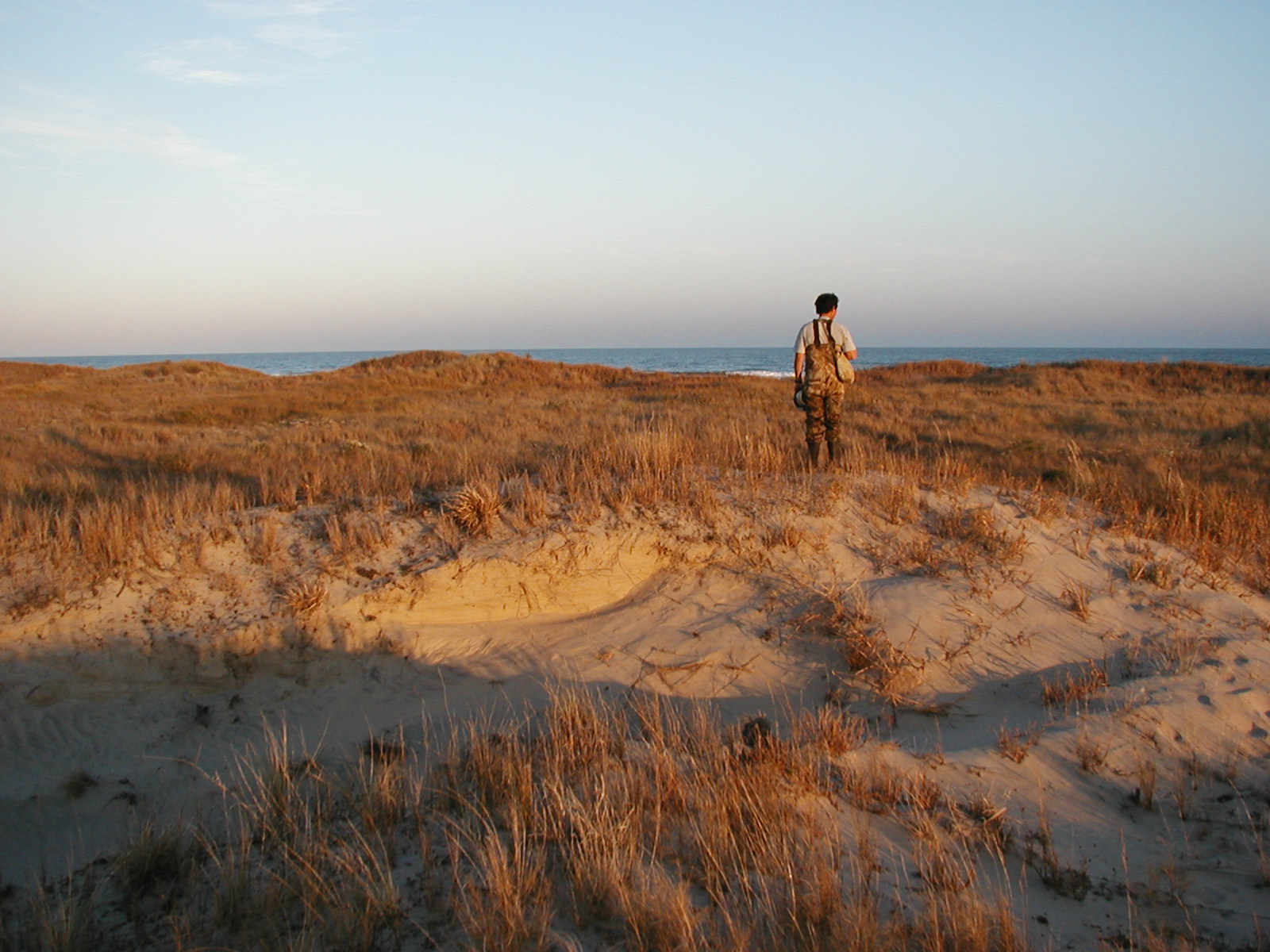 technician standing on dune, facing the ocean