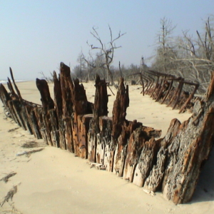 remains of a beached shipwreck