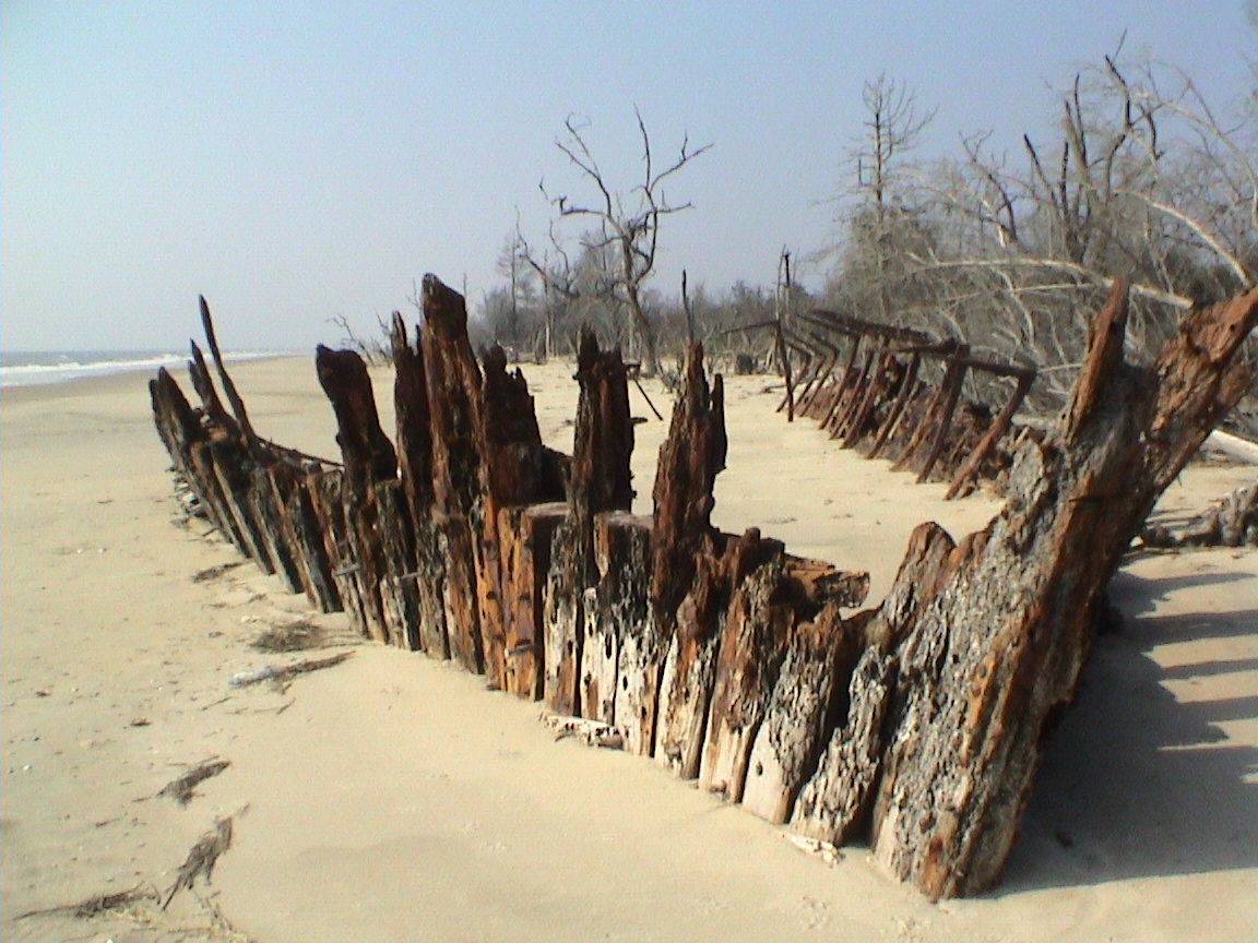 remains of a beached shipwreck