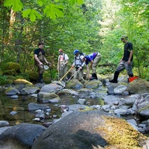 young adults scoop nets into a rocky stream