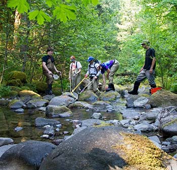 young adults scoop nets into a rocky stream