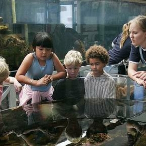 elementary students and undergraduates peer into a sea life tank