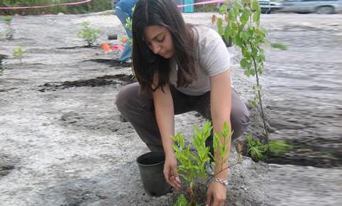Young woman plants trees in a desolate landscape