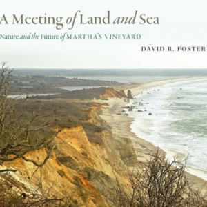 book cover for "A Meeting of Land and Sea"