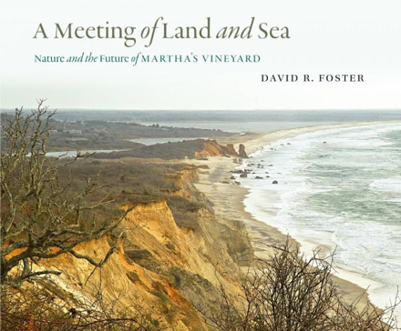 book cover for "A Meeting of Land and Sea"