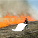 After the Burn – Making Art out of Grassland Fires