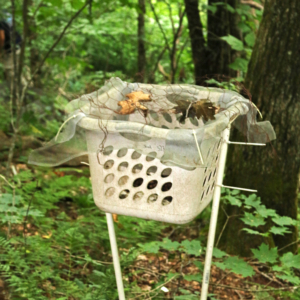 Leaf litter basket at transect #327, used to measure rates of leaf fall.