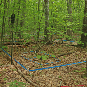 Soil warming experiment (1)