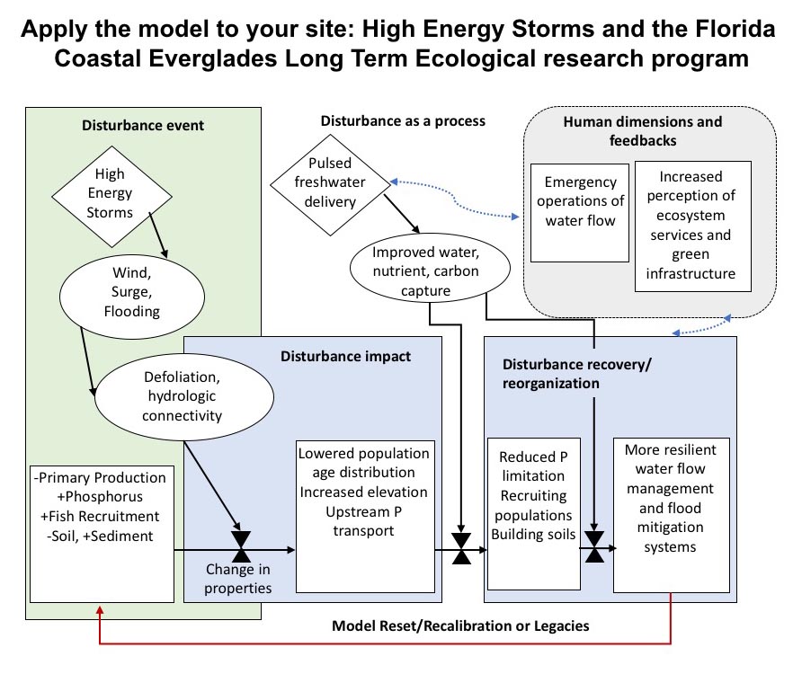 box and arrow diagram of proposed new model for understanding disturbance as a process