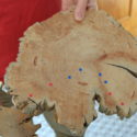 LTER Road Trip: Using Tree Rings to Solve Climate Mysteries