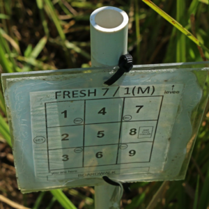 SALTEx3_Zambello
