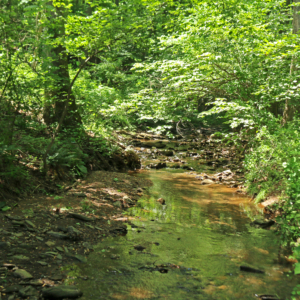 Studied river near Baltimore