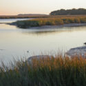 A Balancing Act for Coastal Freshwater Marshes
