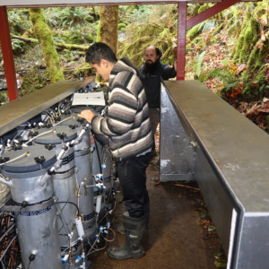 Two researchers examine gauges on a set of 12 1-meter tall metal cylinders, outfitted with various inlets, outlets and tubing.