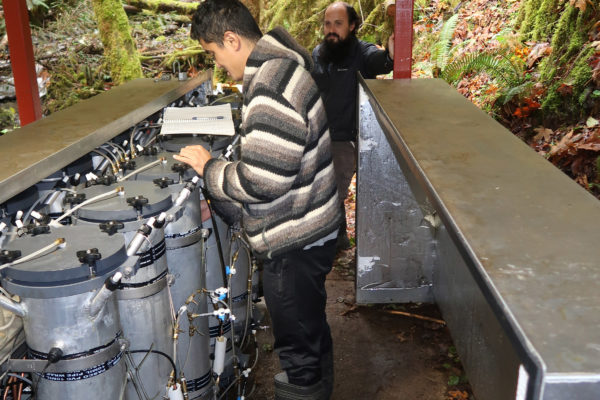 Two researchers examine gauges on a set of 12 1-meter tall metal cylinders, outfitted with various inlets, outlets and tubing.