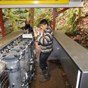 Two researchers examine gauges on a set of 12 1-meter tall metal cylinders, outfitted with various inlets, outlets and tubing.