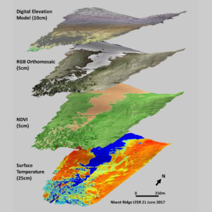 image layers derived from drone-based multispectral imaging