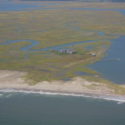 The Ups and Downs of Coastal Marsh Elevation Modeling