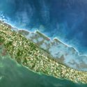 Seagrass and salt marshes team up to fight coastal erosion